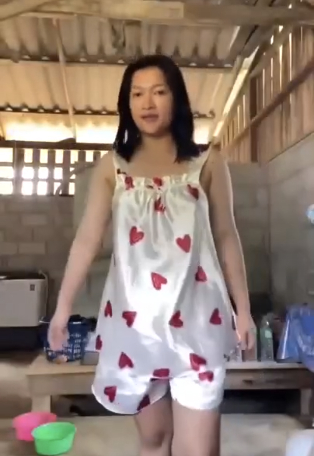 didapur2