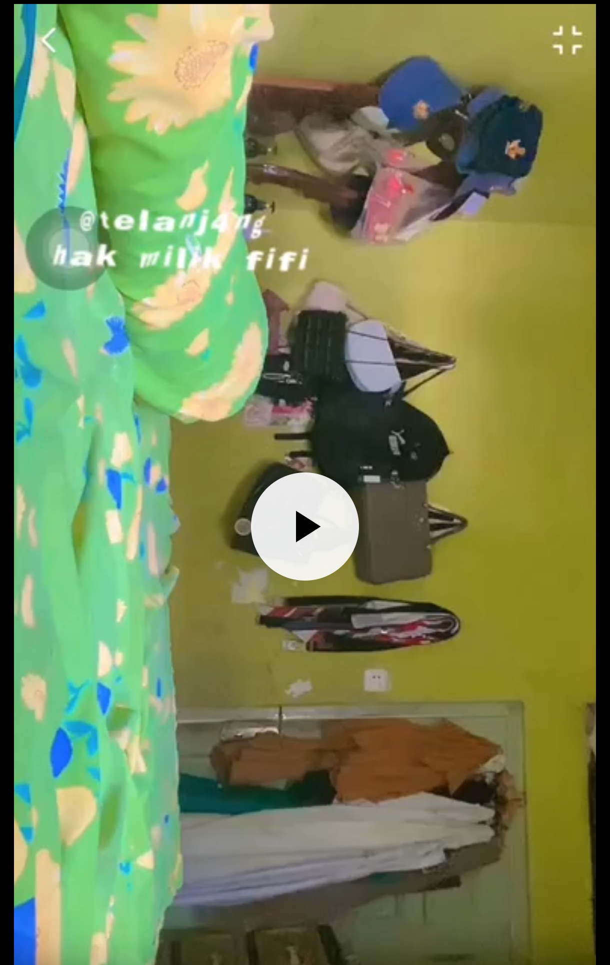 punya fifi