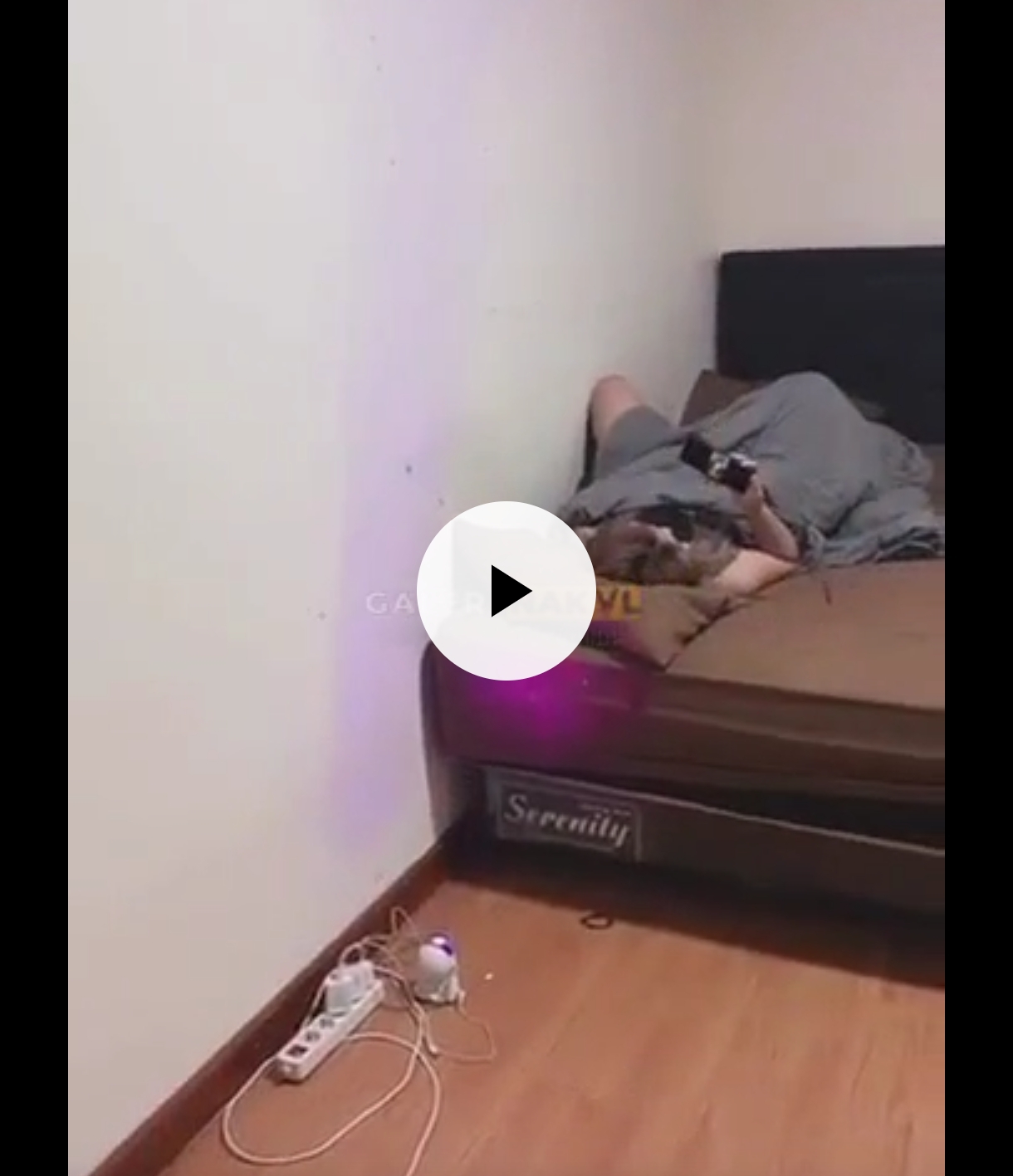 mergokin temen kosan omek malah dapat sepong