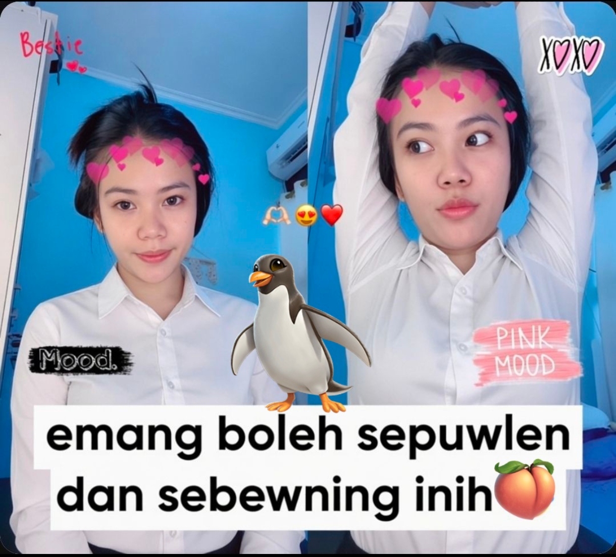 pulen 1